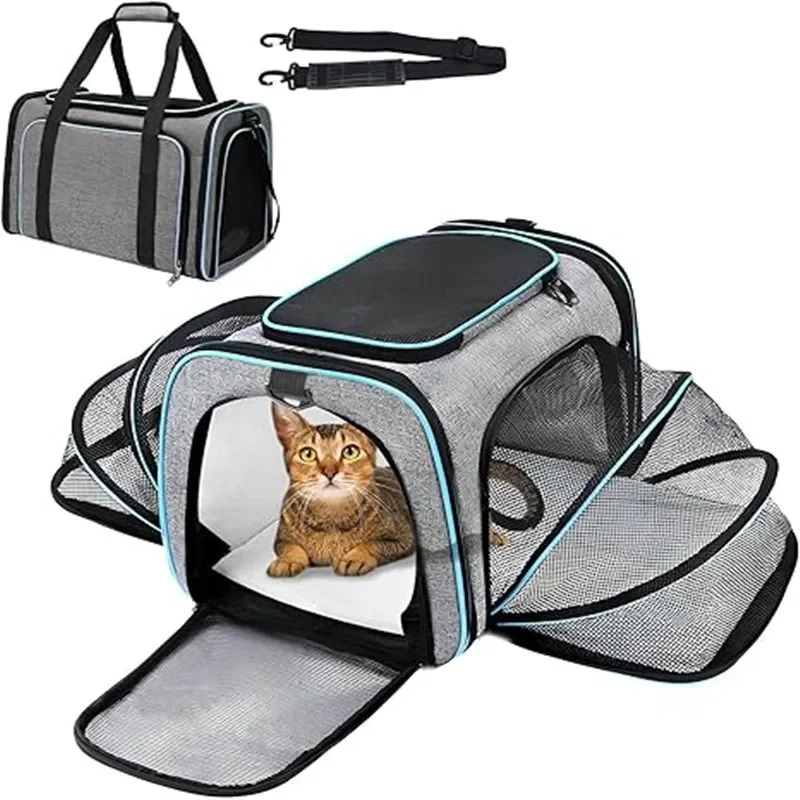 Portable Breathable Foldable P - Foldable Backpack Small recension och pris
